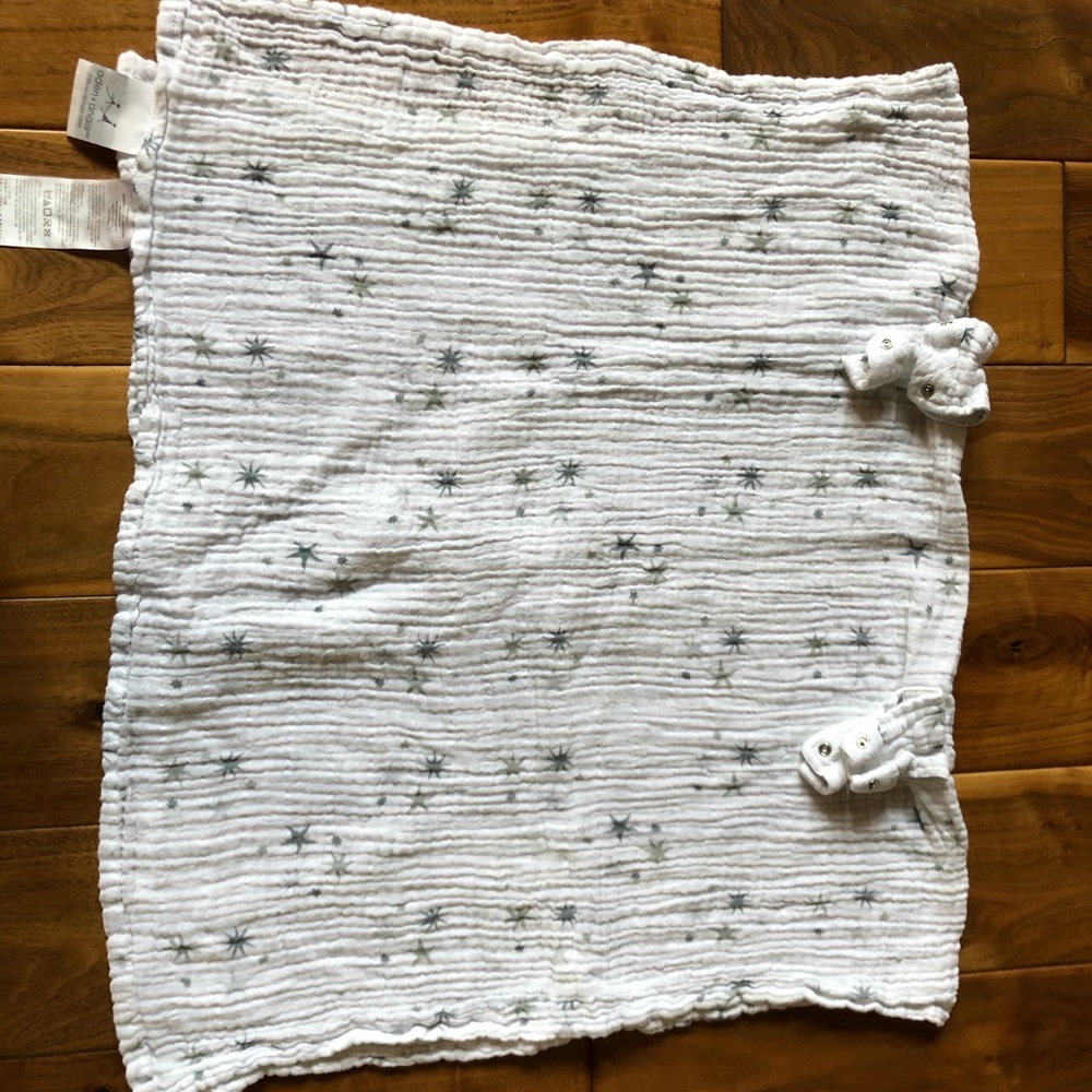 Aden and Anais car seat cover